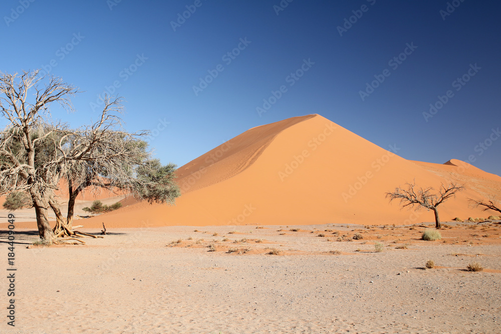 Düne 45.Where: Bei Sossuvlei, Namib-Wüste, Namibia.