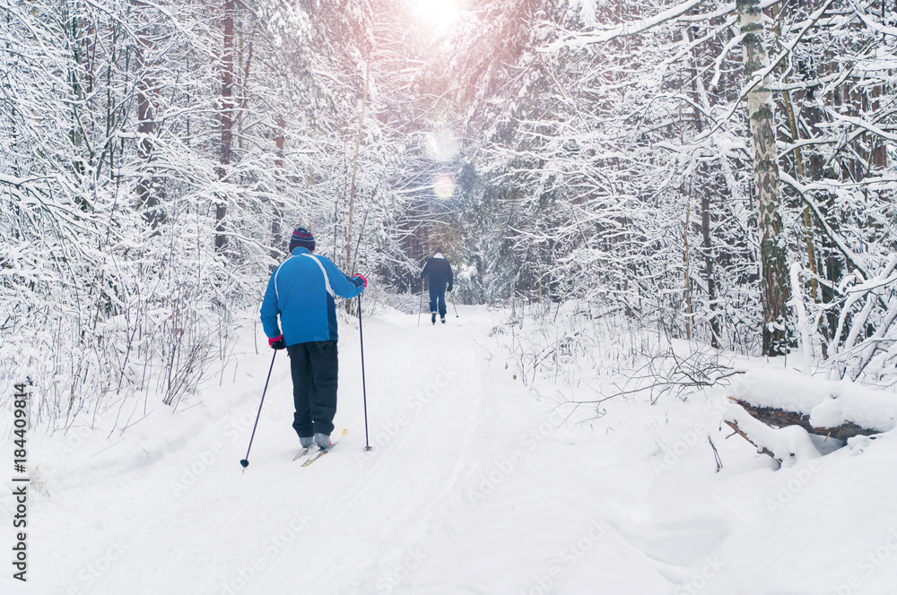 elderly men skiing in beautiful winter forest