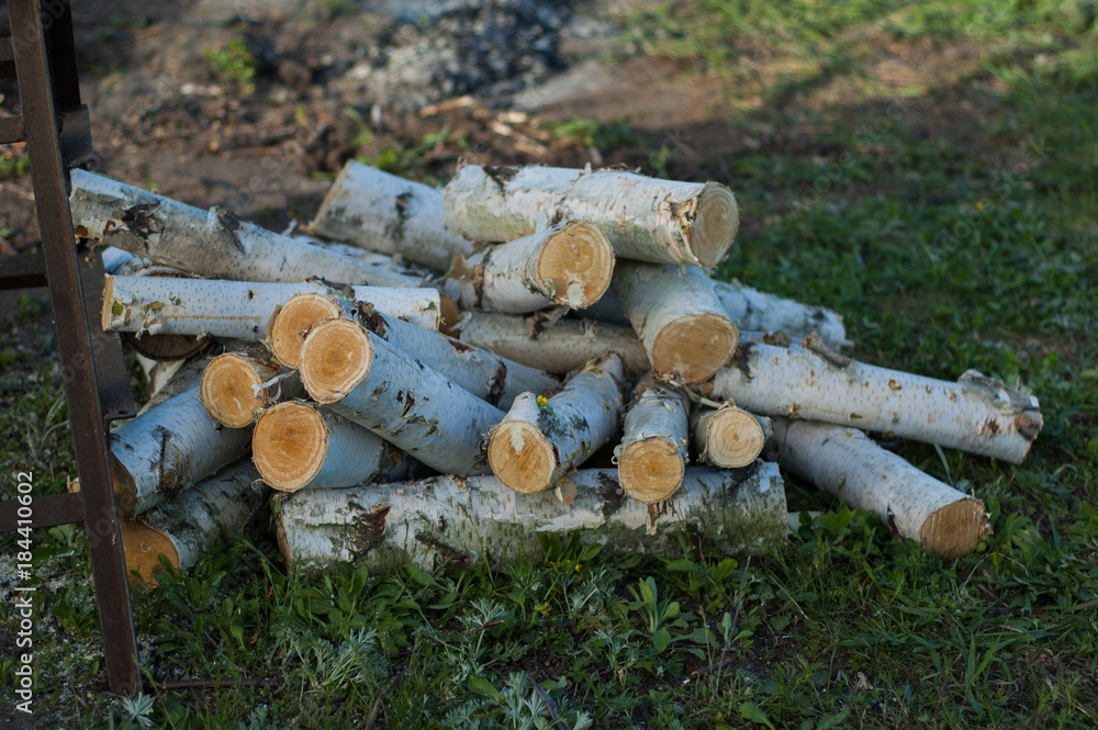 Round birch logs lie near the saw and the place where they were cut. Round birch logs lie near the saw and the place where they were cut.