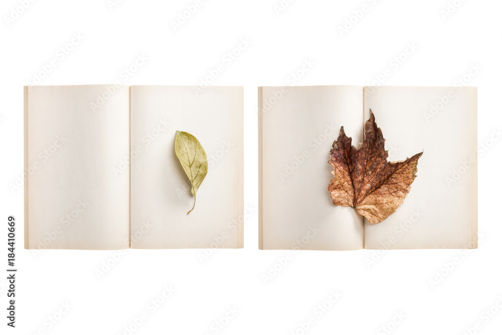 set of paper note with leaf isolated on the white background.