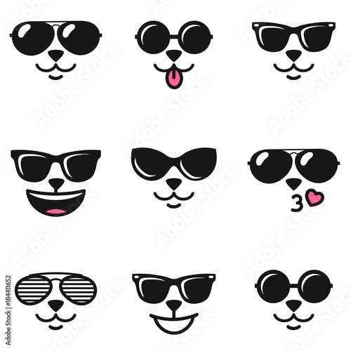 cat faces with different emotions and sunglasses