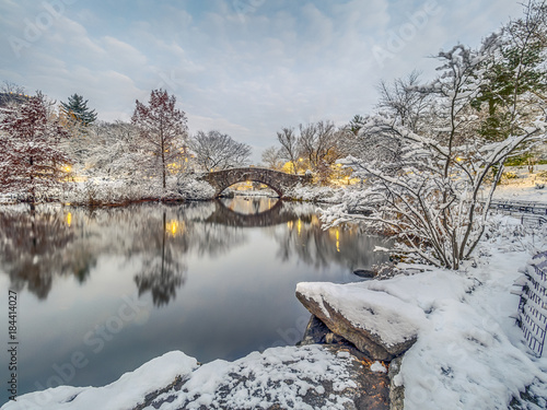 Slika na platnu Gapstow bridge Central Park, New York City