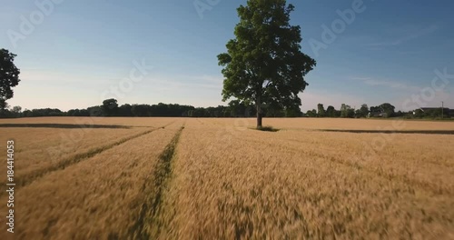 Michigan Wheat Fields 02