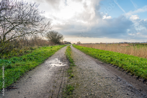 Sandy path with a puddle in a rural landscape