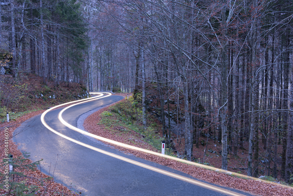 Fototapeta premium Car trails on the beautiful road through the forest in Slovenia