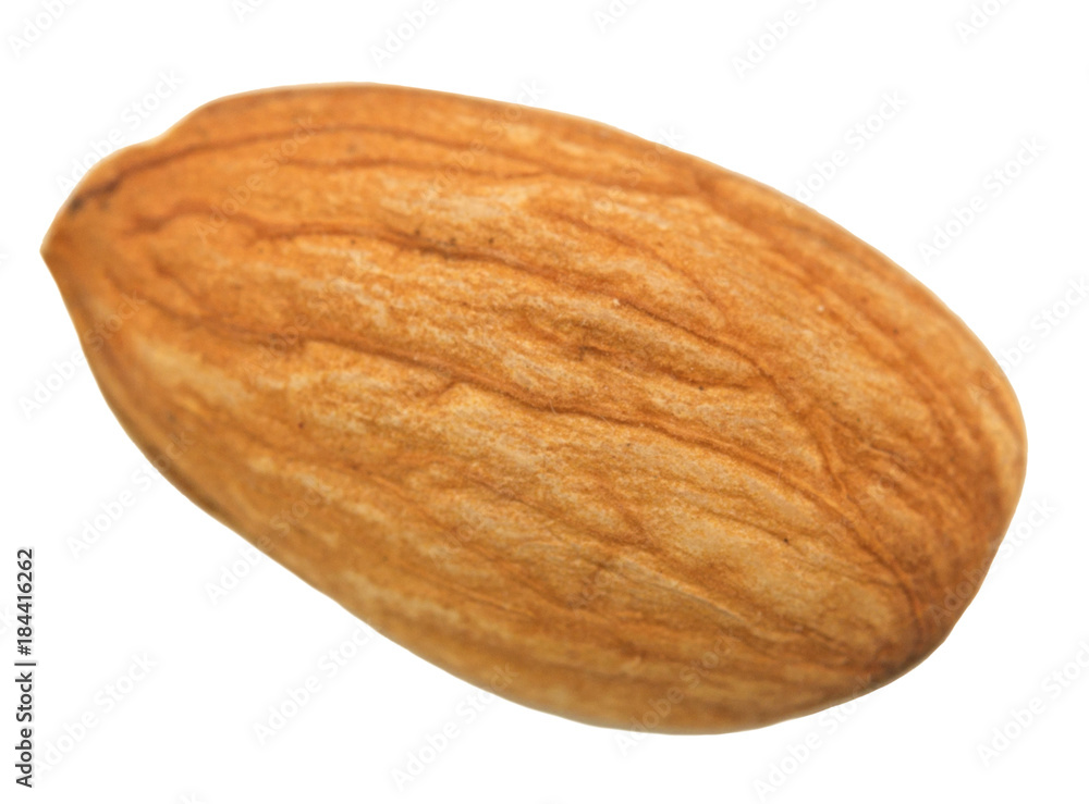 almond on white almond on white