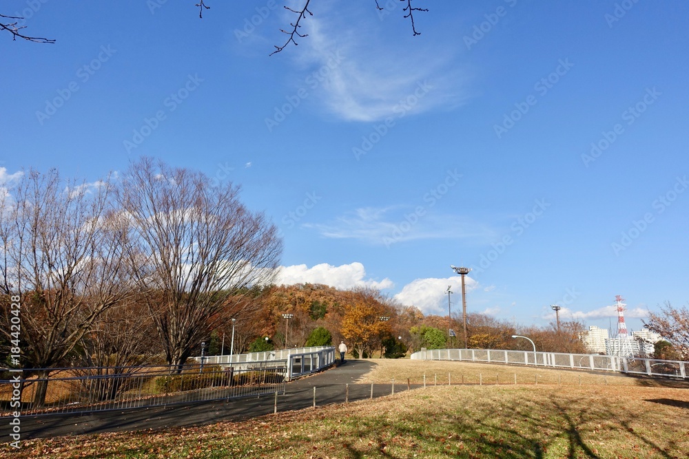 秋の公園