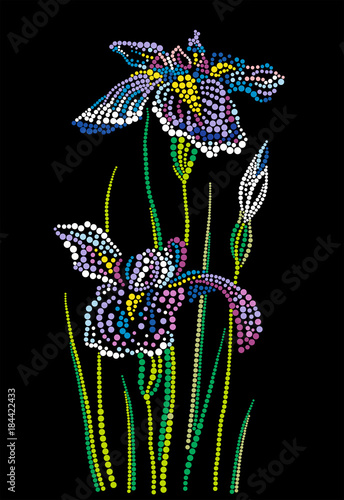 Fototapeta Naklejka Na Ścianę i Meble -  Flowers Irises from circles