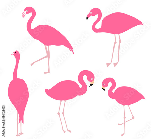 Pink flamingo set, vector illustration. © Maria Cherevan