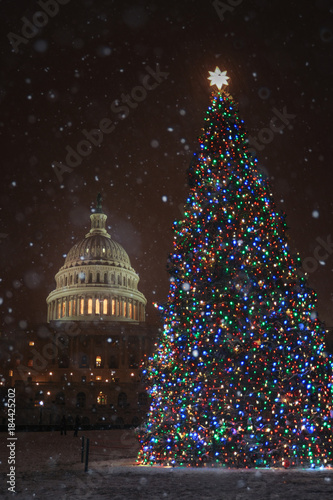 U.S. Capitol Christmas Tree