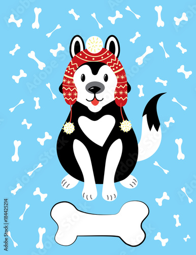 Christmas illustration of a dog in a hat and with a stone. A dog breeds of husky in the snow. Picture for the postcard. Illustration for children. New Year.