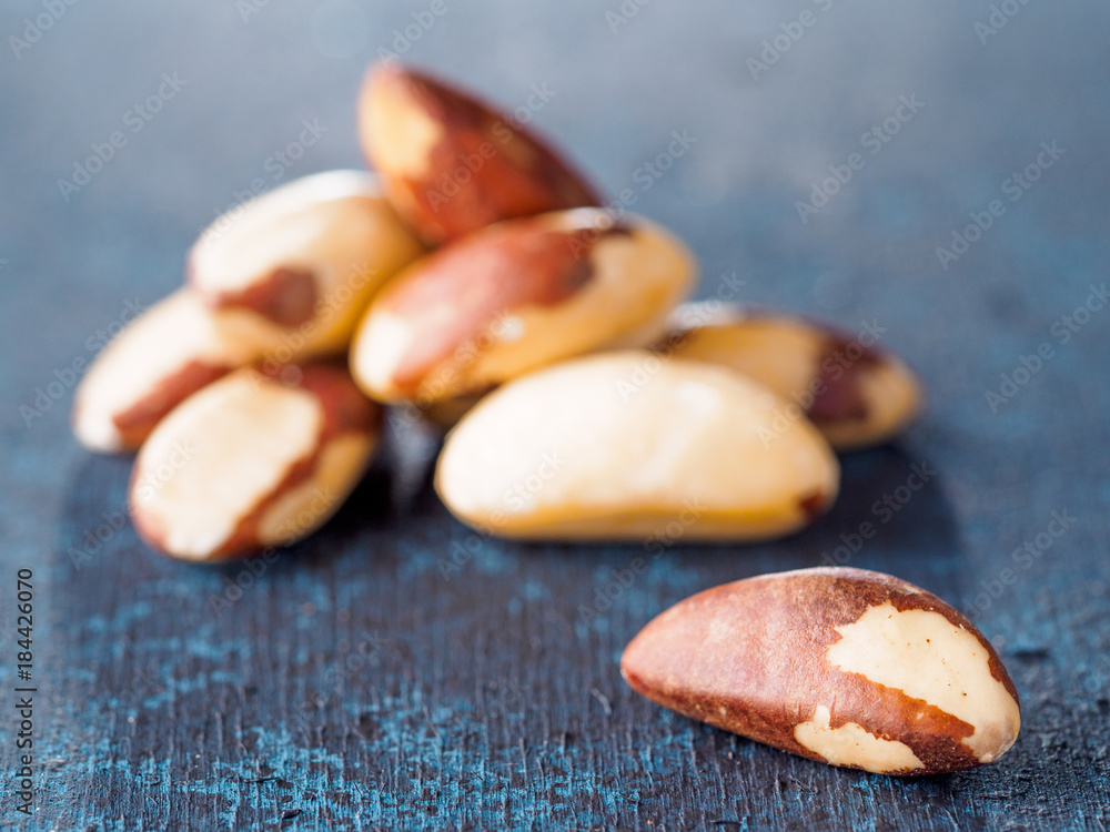 Macadamia nut or brasil nut on dark blue background with copy space Macadamia nut or brasil nut on dark blue background with copy space