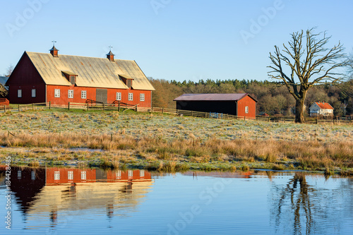 Waterfront rural morning landscape with farm buildings and bare tree on a field. Frost on the ground. A windless and sunny day. Location Nattraby, Karlskrona, Sweden.