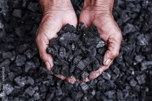 Photo Coal mining - coal miner in the man hands of coal background