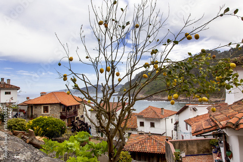 Tazones pueblo marinero de Asturias photo