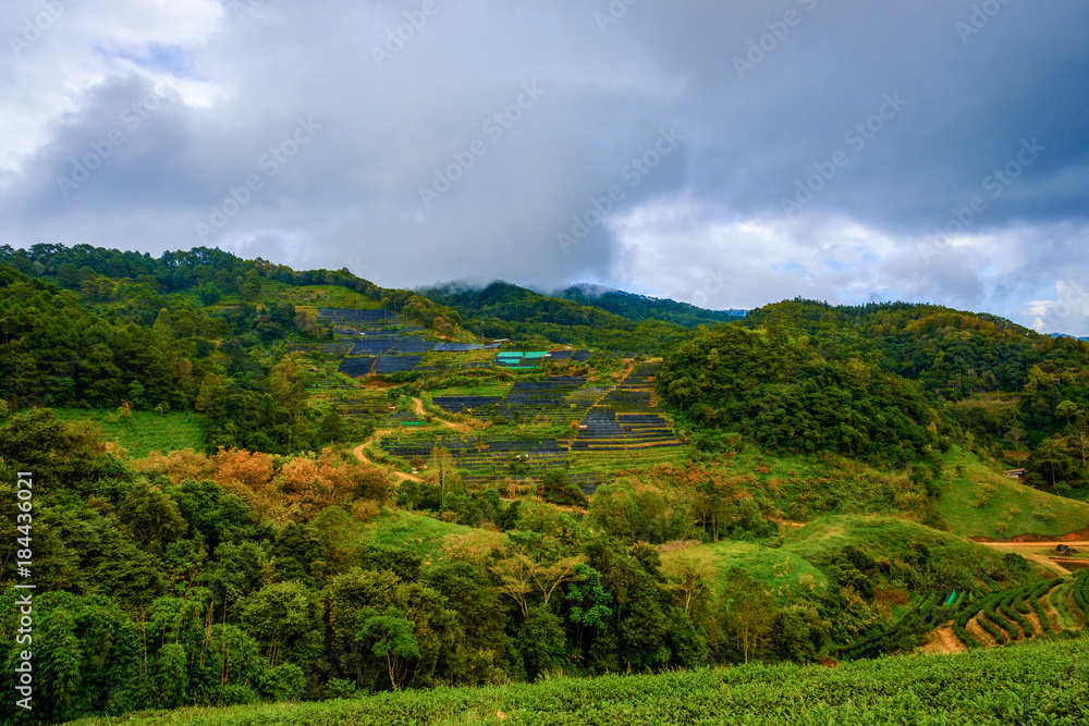 high mountains peaks range clouds in fog scenery landscape national park view outdoor at Doi Ang Khang, Chiang Mai Province, Thailand high mountains peaks range clouds in fog scenery landscape national park view outdoor at Doi Ang Khang, Chiang Mai Province, Thailand
