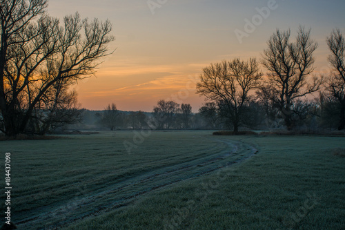 Frozen meadow at Morava river in early winter morning, Slovakia, Europe