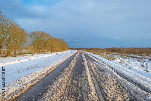 Snowy road through a frozen landscape along trees in winter