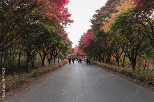 Beautiful foliage around Independence Hall in Cheonan