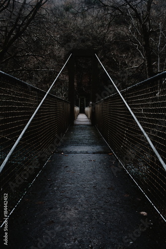 Fototapeta Naklejka Na Ścianę i Meble -  suspension bridge