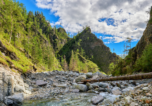 Gorge overgrown with forest in mountains