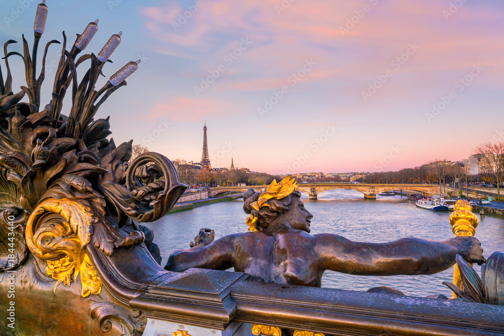 The Alexander III Bridge across Seine river in Paris - obrazy, fototapety, plakaty 