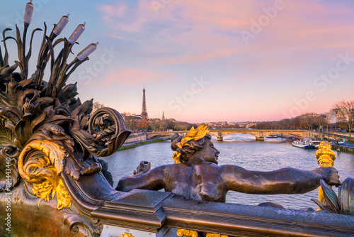 The Alexander III Bridge across Seine river in Paris © f11photo