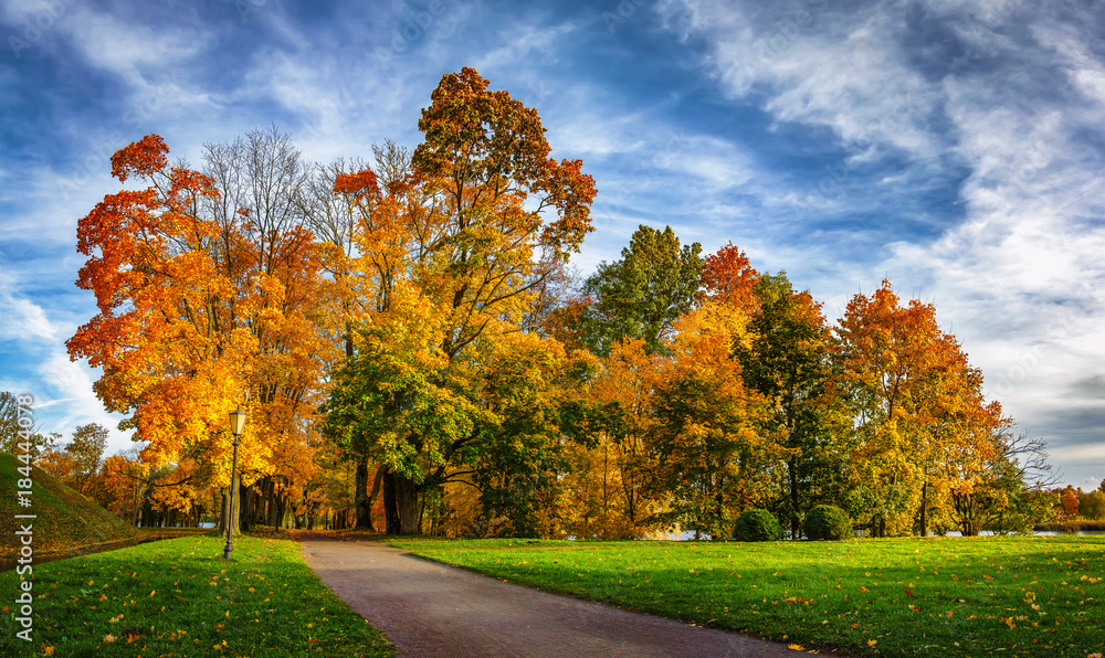 Naklejka premium Colorful autumn park in sunny bright day. Beautiful autumn landscape with yellow and red trees. Scenery colored nature.