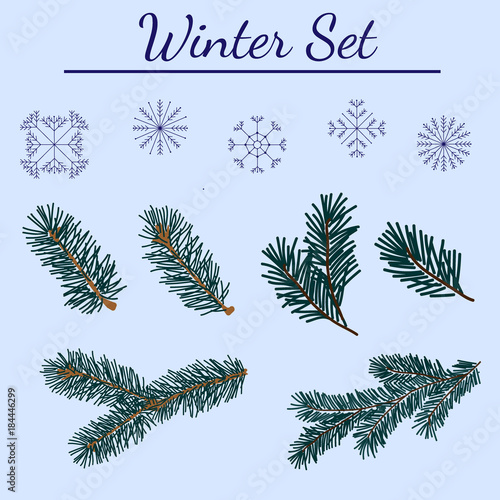 Green lush spruce branch. Fir and pine branches with snowflakes. Isolated vector illustration