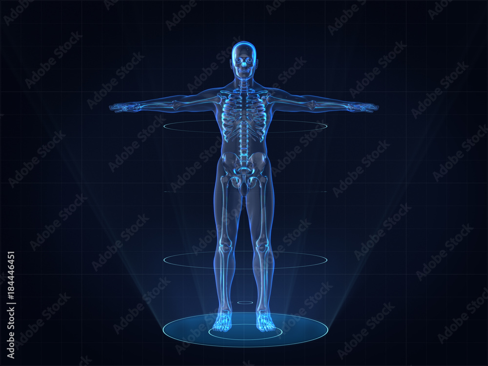 Hologram Human anatomy and  skeleton,3D rendering