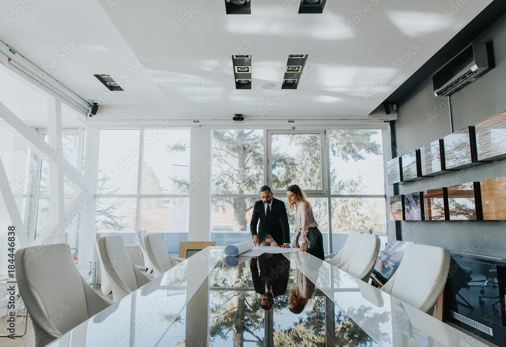Obraz premium Business couple analyzing project