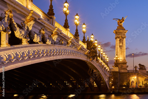 Close-up of Pont Alexandre III Bridge and illuminated lamp posts at sunset. 7th Arrondissement, Paris, France