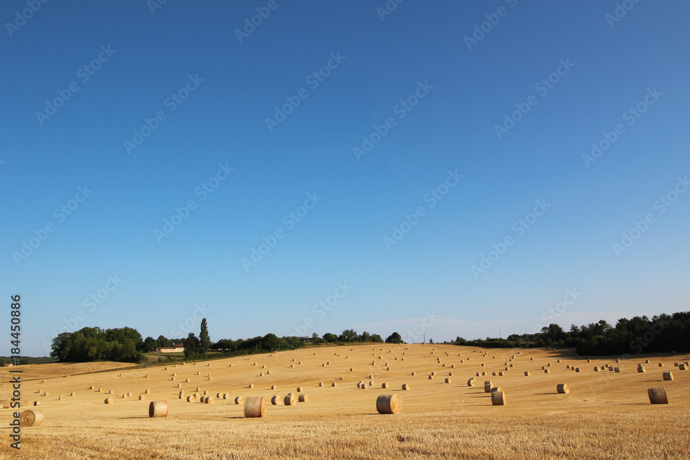 Hay bales in harvested field as sun is setting against deep blue sky