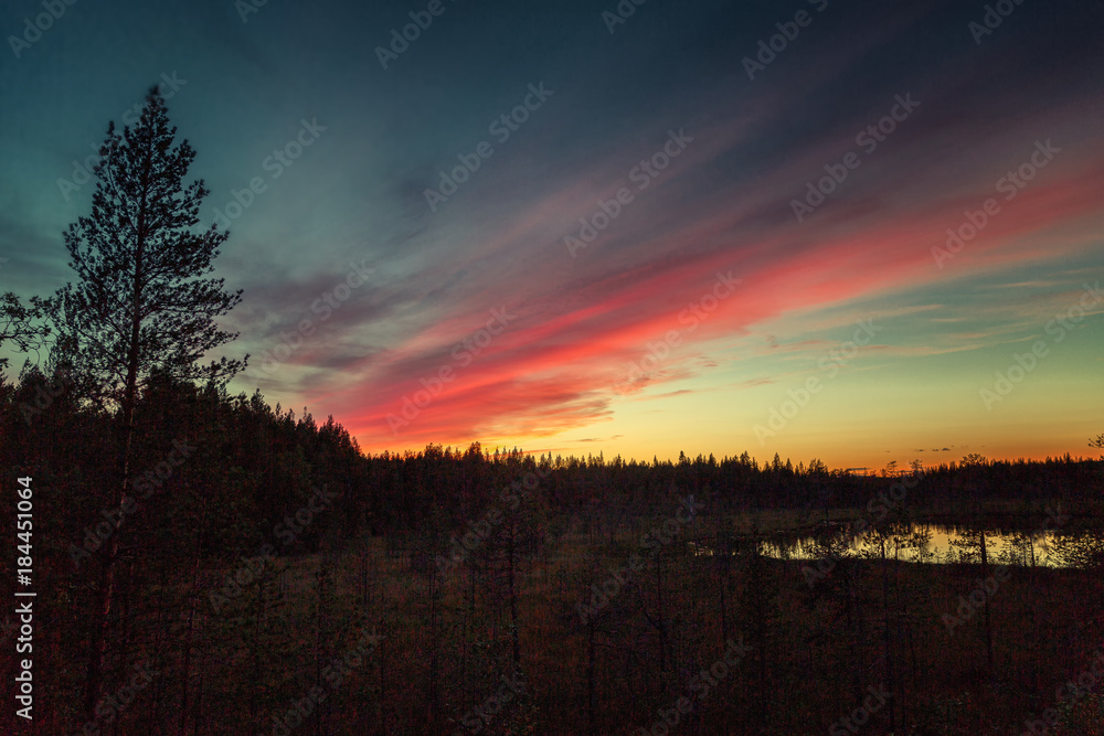 Beautiful view of the stunning bloody sunset Beautiful view of the stunning bloody sunset