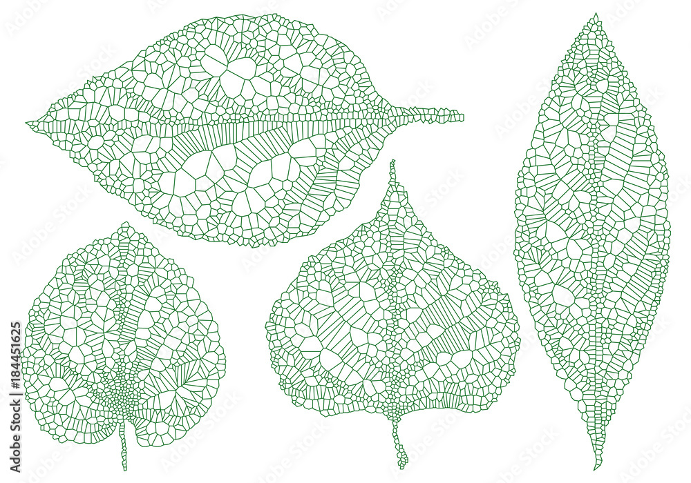 green vein leaves, vector set - obrazy, fototapety, plakaty 