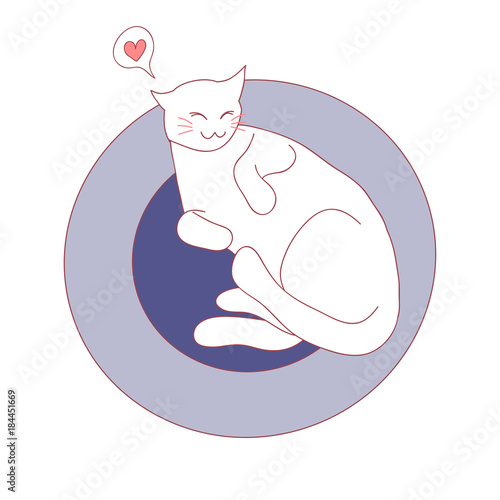 Cat Sleeping on Bed