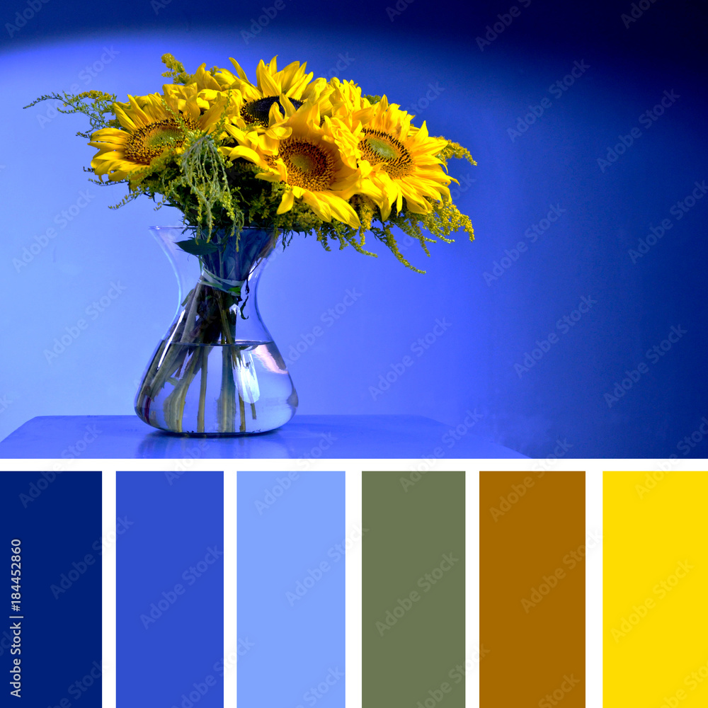 Color matching palette with complimentary colour swatches. Sunflower vase  on a table on a blue background. Stock Photo | Adobe Stock
