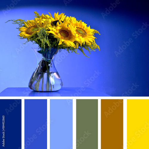 Color matching palette with complimentary colour swatches. Sunflower vase on a table on a blue background.