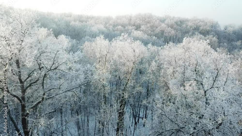 Aerial view of winter forest covered by snow and hoarfrost, tilt view 4k
Aerial view of winter forest covered by snow and hoarfrost, tilt view 4k