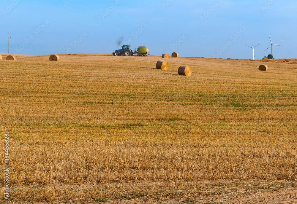 Fototapeta premium twisted hay in the field, bundles of hay, fields with twisted haystacks