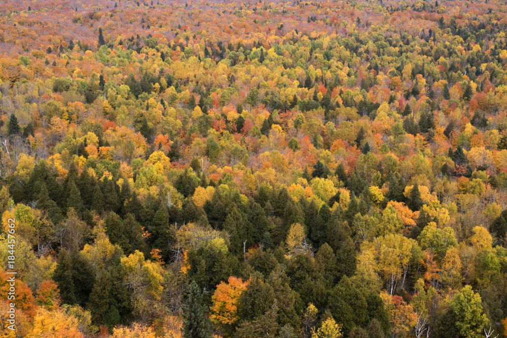 Lake Superior National Forest, Minnesota, USA in autumn colors..