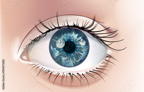 A realistic drawing of a human eye with a blue iris. Close-up. This is a scalable and editable vector drawing.