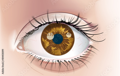 A realistic drawing of a human eye with a brown iris. Close-up. This is a scalable and editable vector drawing.