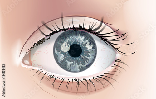 A realistic drawing of a human eye with a grey iris. Close-up. This is a scalable and editable vector drawing.
