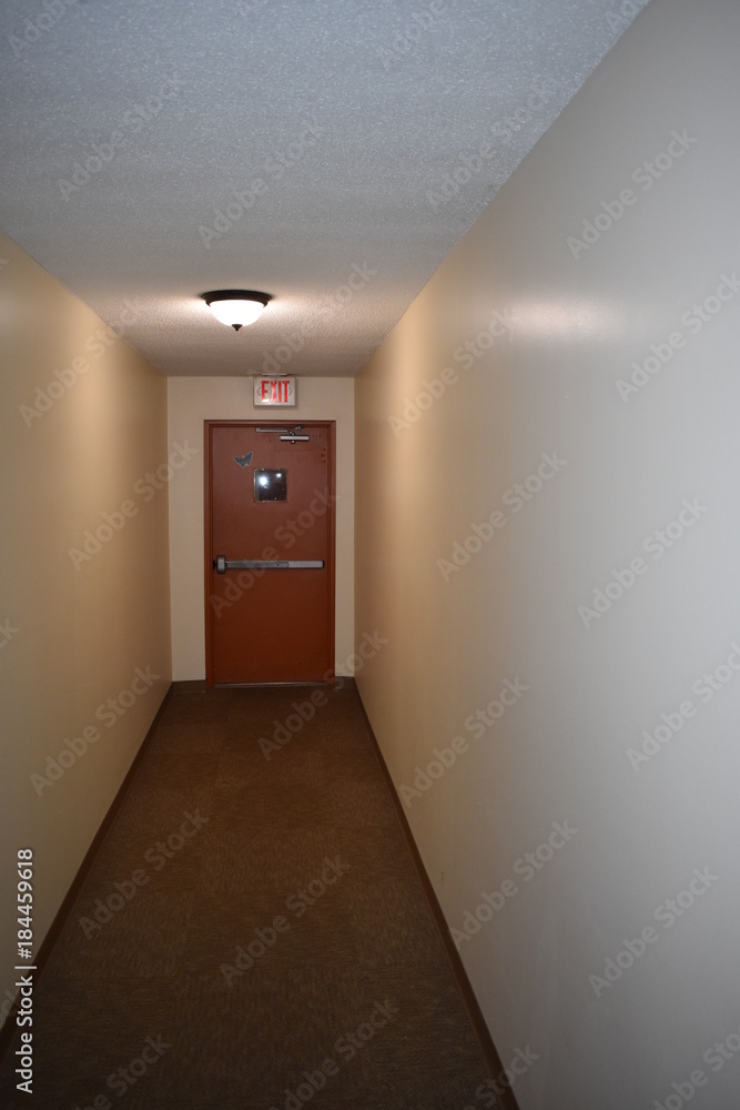 Fototapeta premium Let us sneak out