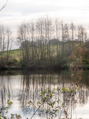 gamekeeper s pond winter autumn trees sunlight lake bare branches landscape