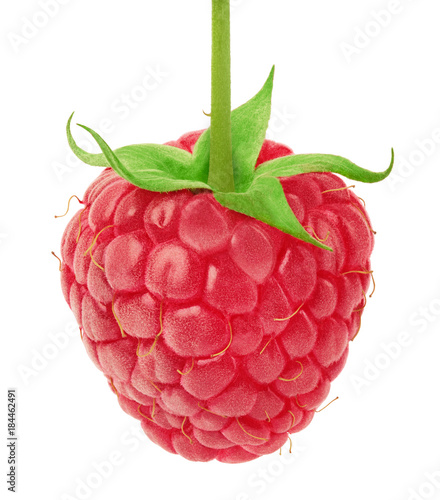 Ripe raspberry with green leaf isolated on white background with clipping path