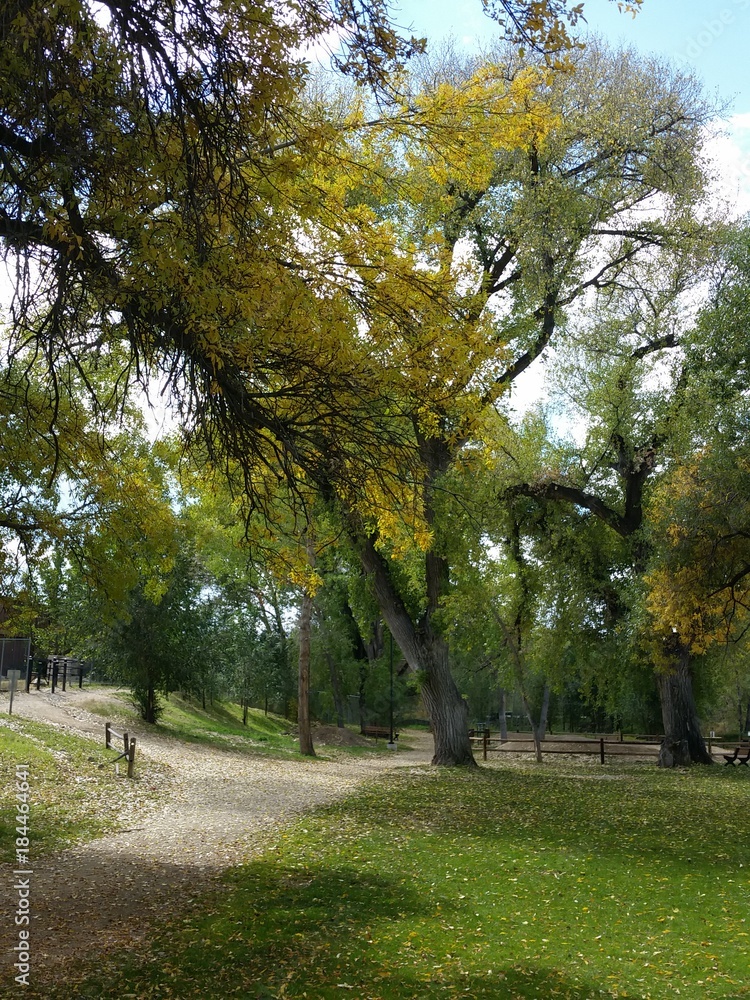 Park Scene Park Scene
