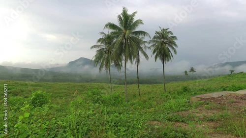 Wallpaper Mural 4K timelapse of the mist and clouds in forrest and mountain Torontodigital.ca