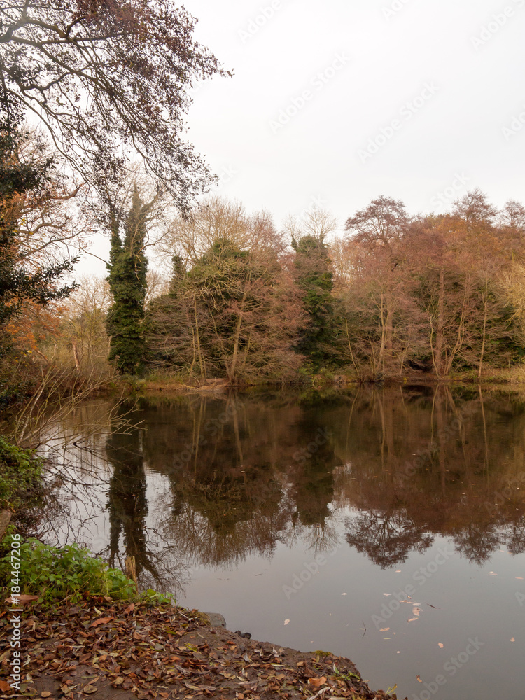 Obraz premium gamekeeper's pond winter autumn trees sunlight lake bare branches landscape